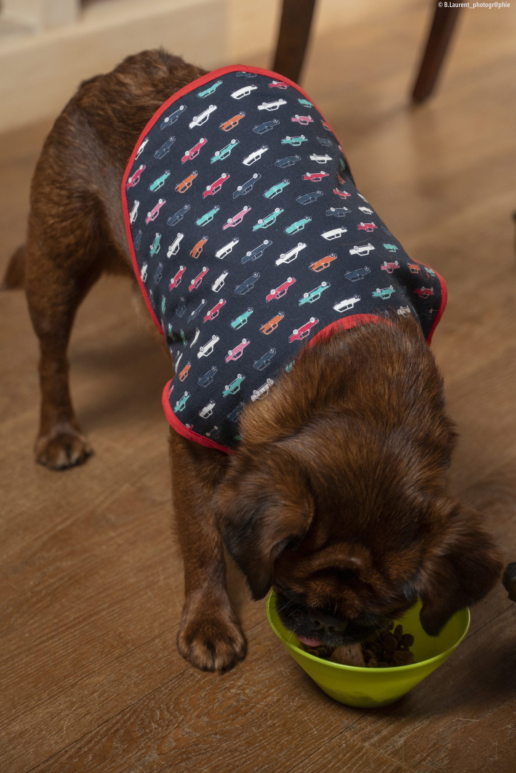 09042022-DSC_0588 manteau pour chien made in france