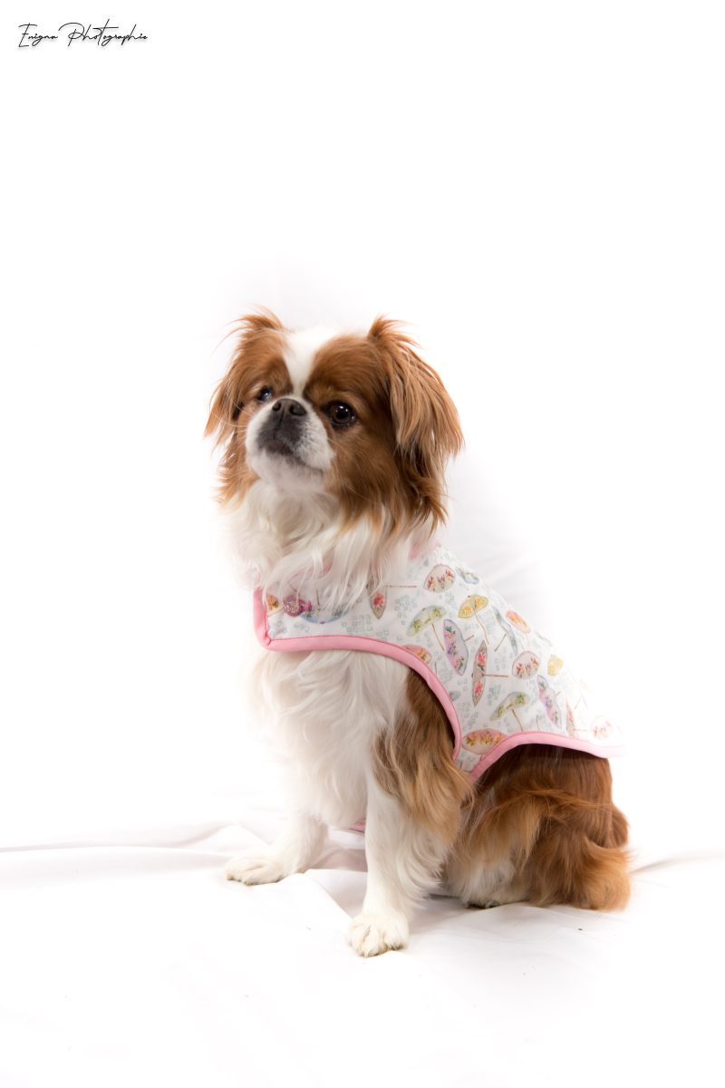 manteau pour chien en coton imprimé made in france