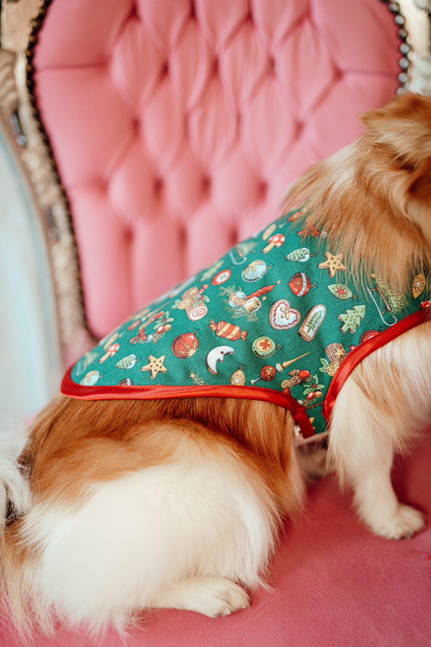 L.S_04.01_C&D-40 dog coat made in France in green cotton with Christmas print