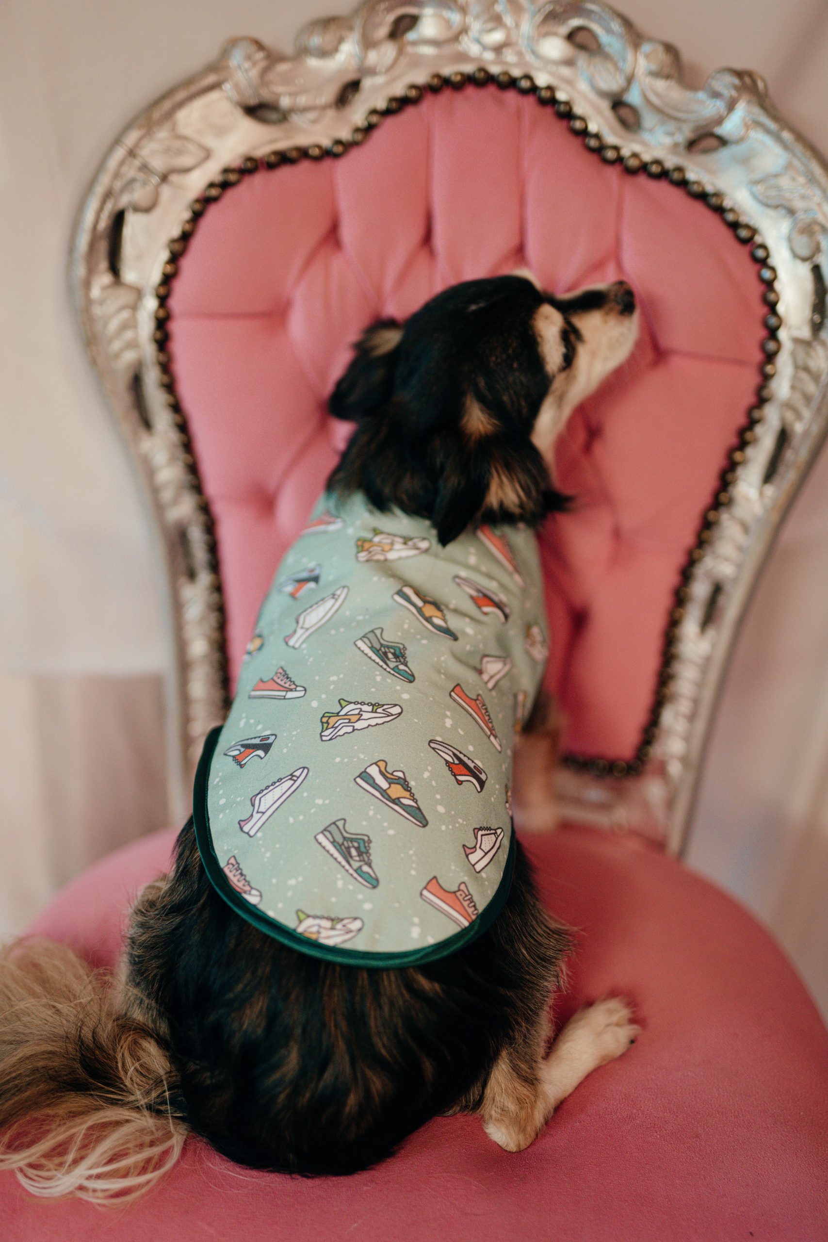 L.S_04.01_C&D-45 manteau pour chien Made in France vert clair à imprimé baskets