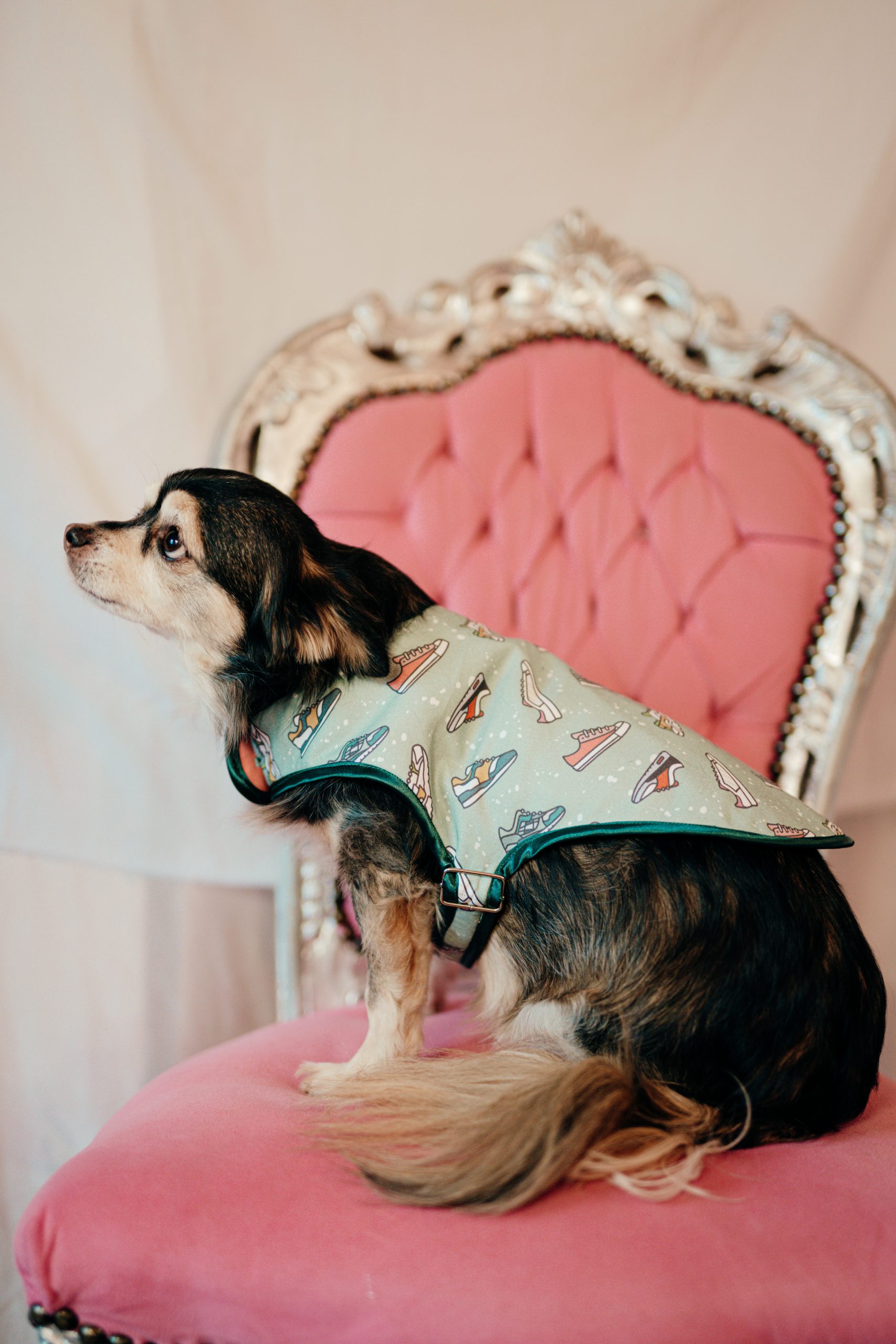 L.S_04.01_C&D-46 manteau pour chien Made in France vert clair à imprimé baskets