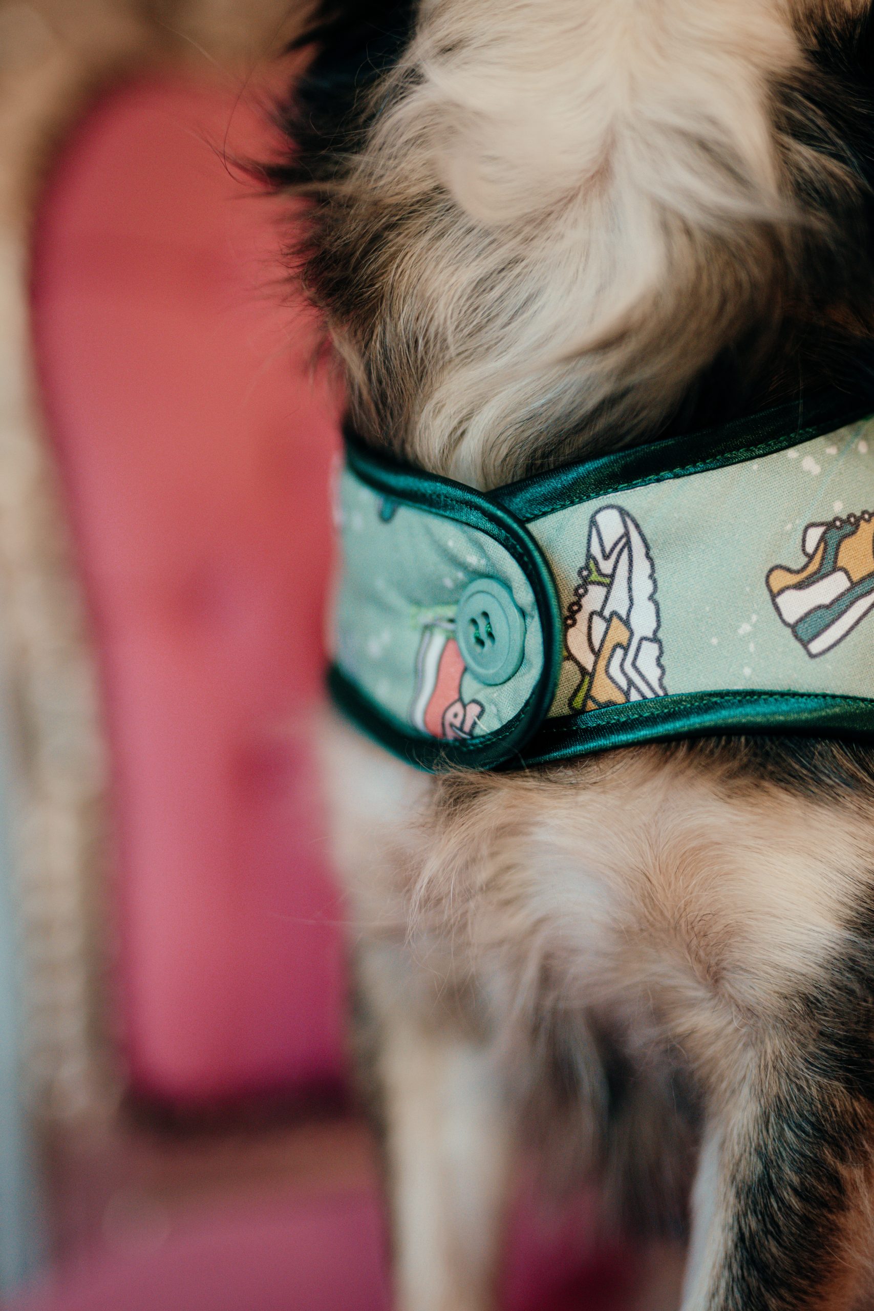 L.S_04.01_C&D-47 manteau pour chien Made in France vert clair à imprimé baskets