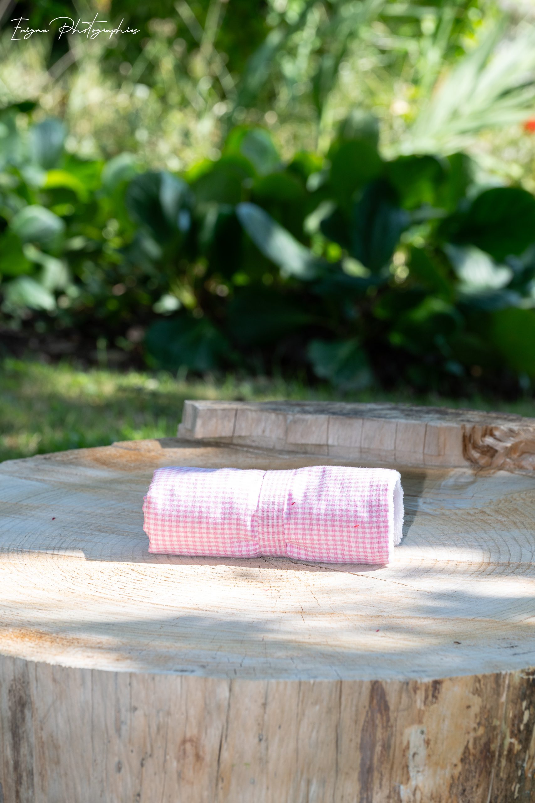 pink gingham paw dryer made in France