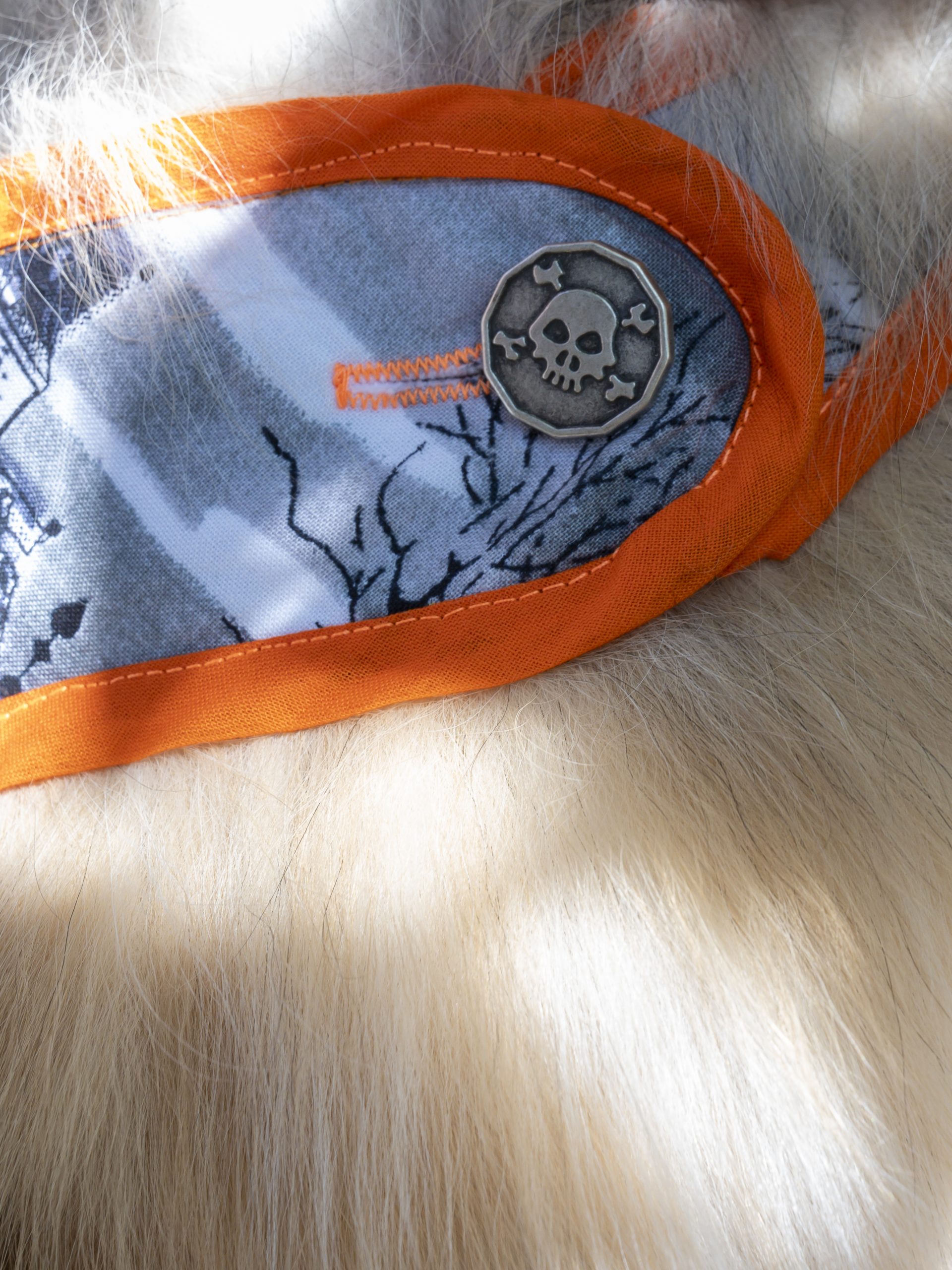 manteau pour chien made in france maisons hantées