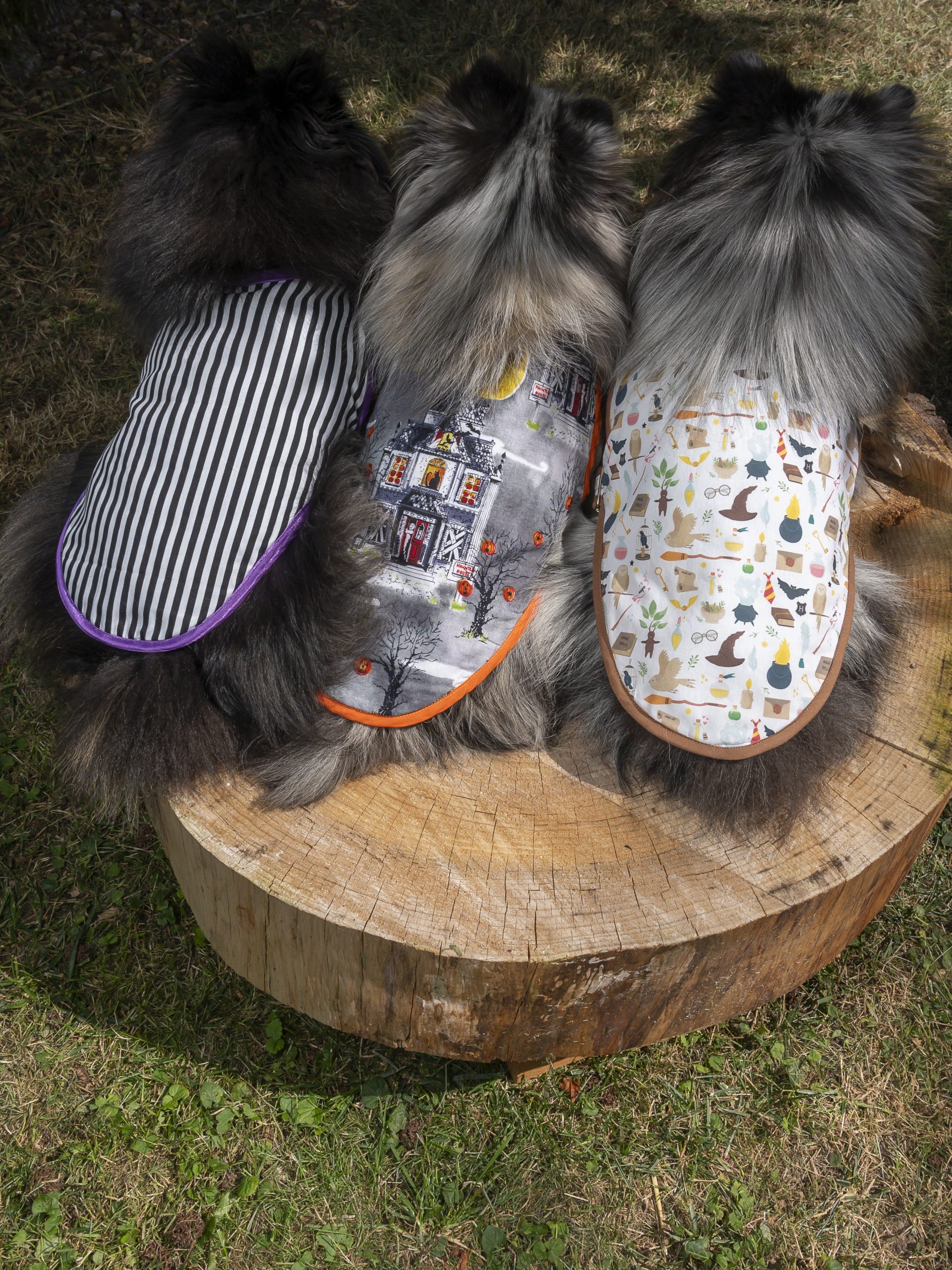 manteau pour chien made in france maisons hantées