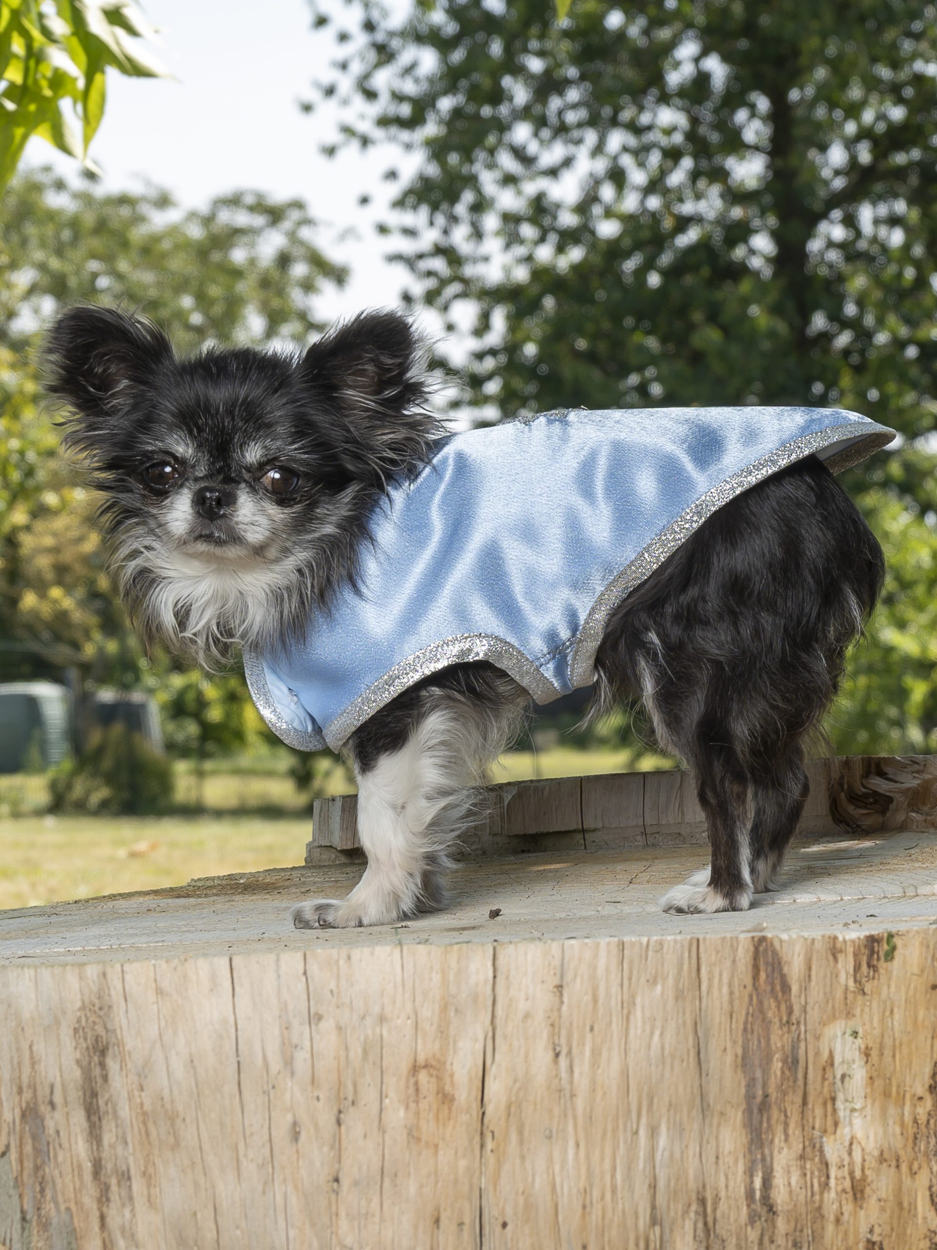 manteau pour chien en satin bleu ciel made in france