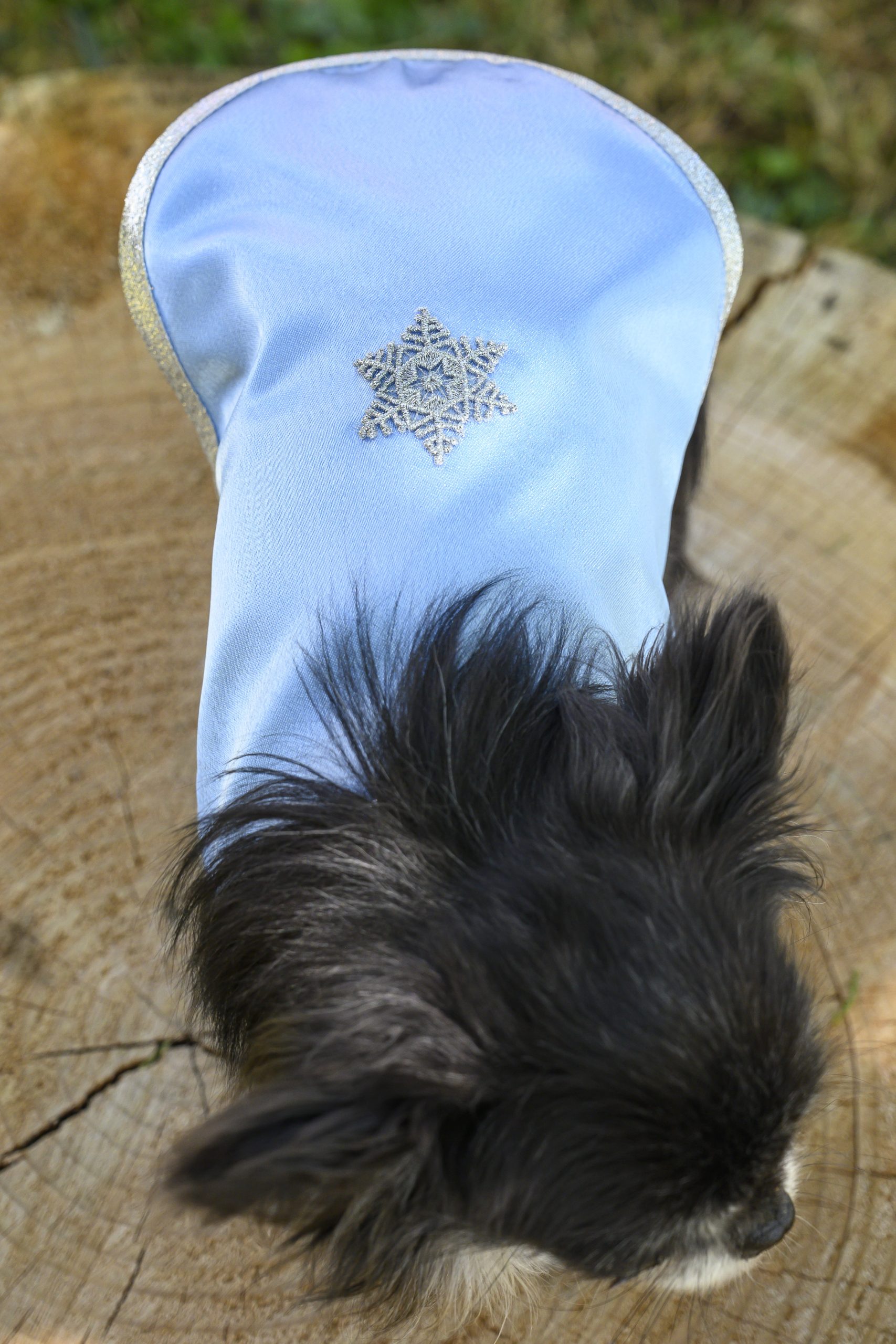 manteau pour chien en satin bleu ciel made in france