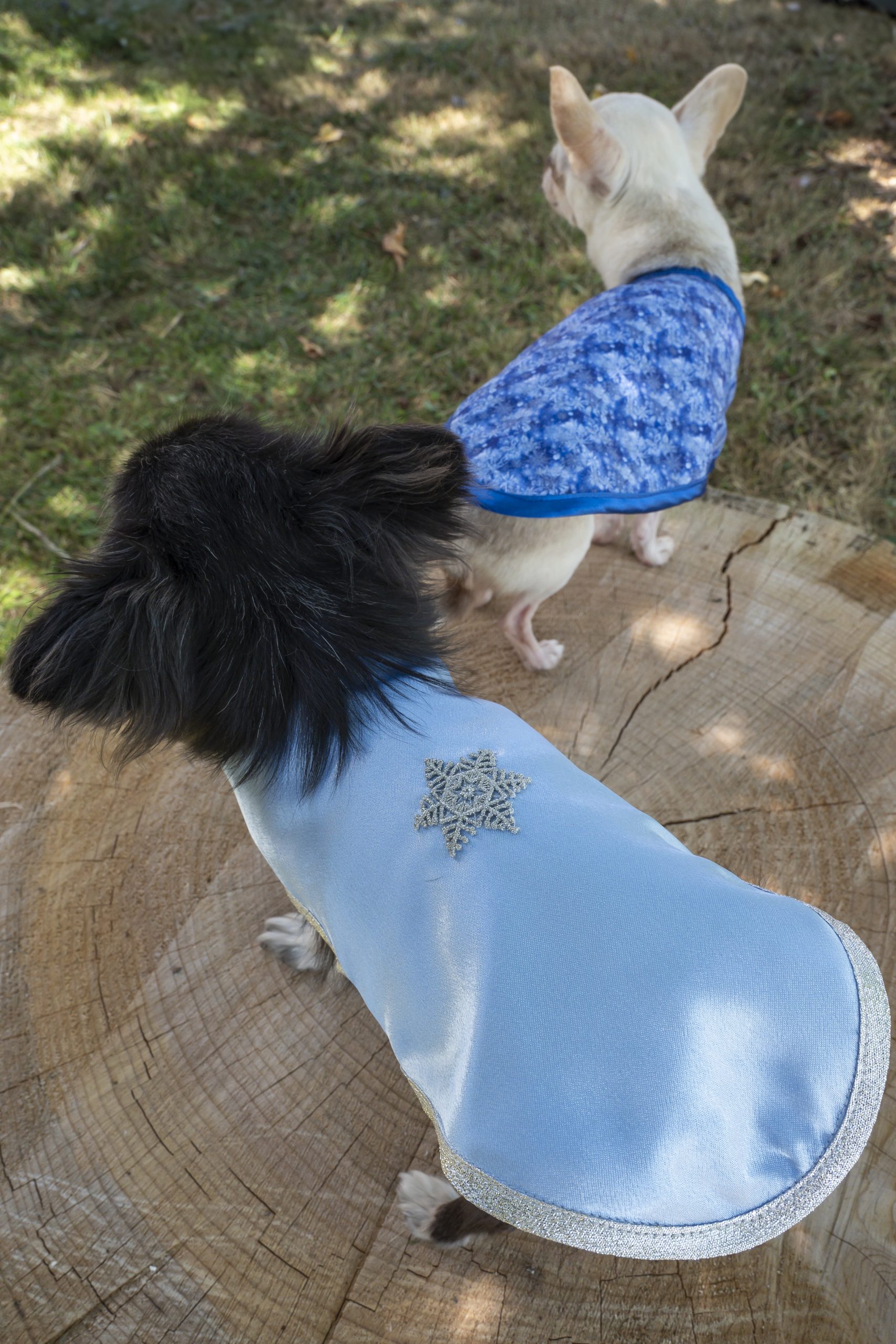 manteau pour chien en satin bleu ciel made in france