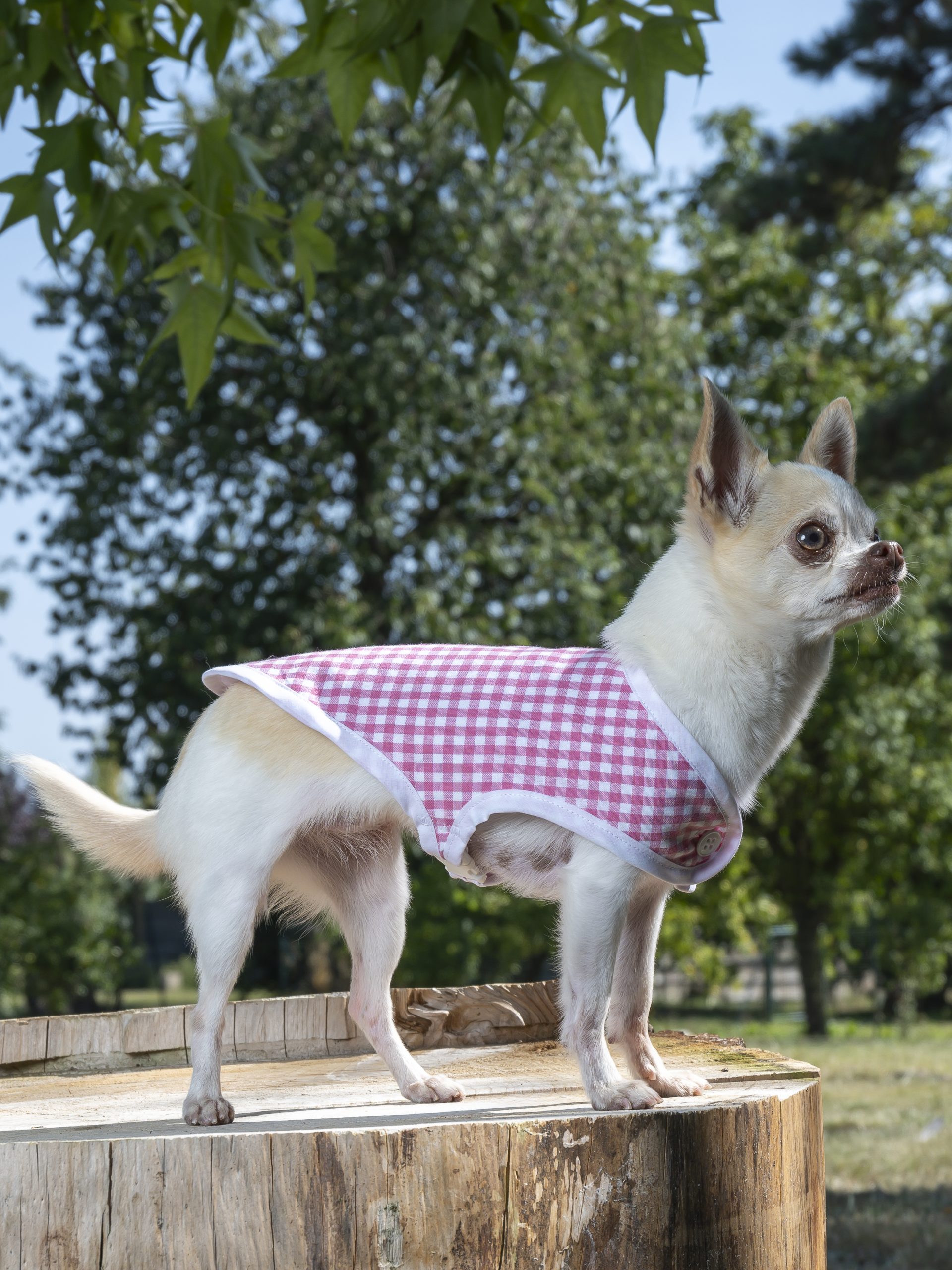 manteau chien made in france vichy rose vif