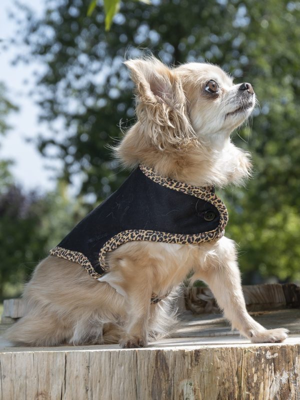 manteau pour chien léopard made in france créateur