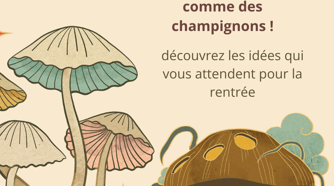nouvelles créations made in france