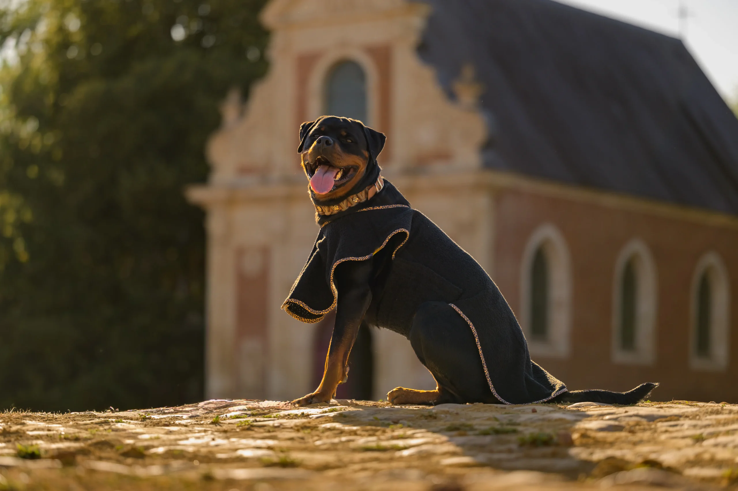 peignoir de bain pour chien made in france sur mesure