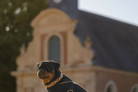 peignoir de bain pour chiens made in France et sur mesure