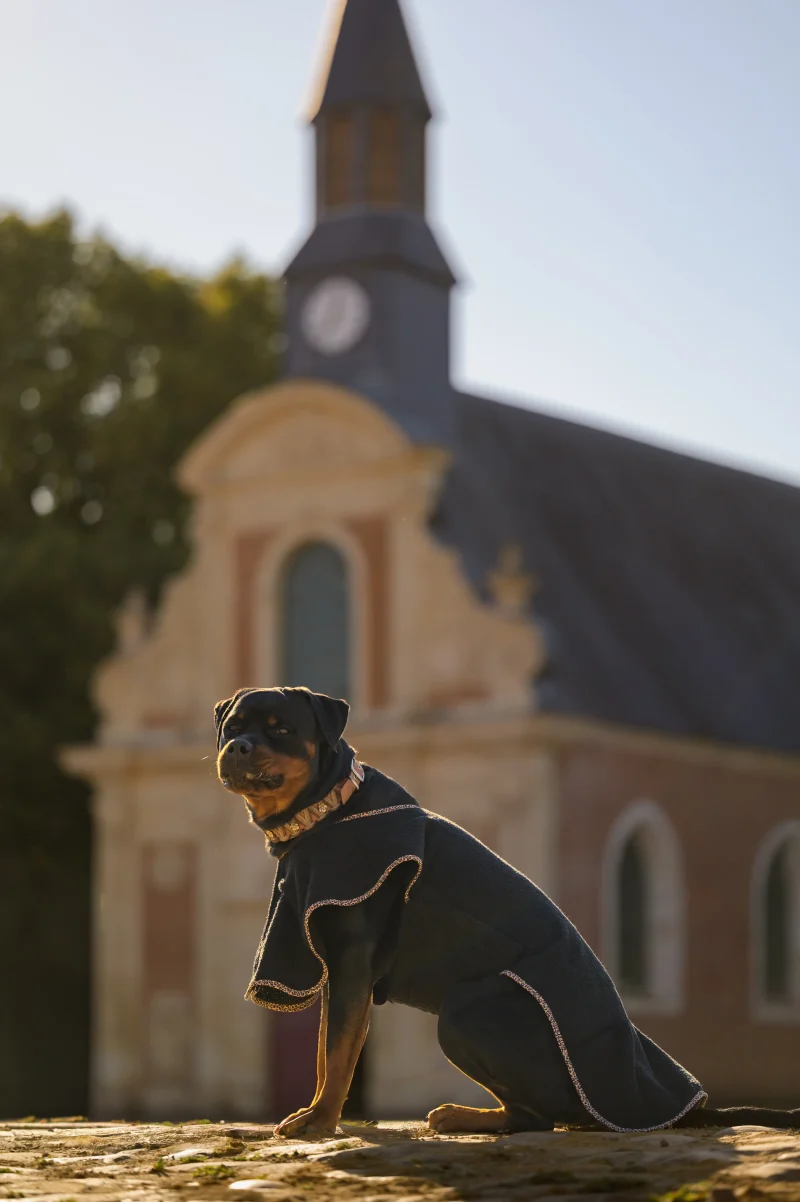 peignoir de bain pour chiens made in France et sur mesure